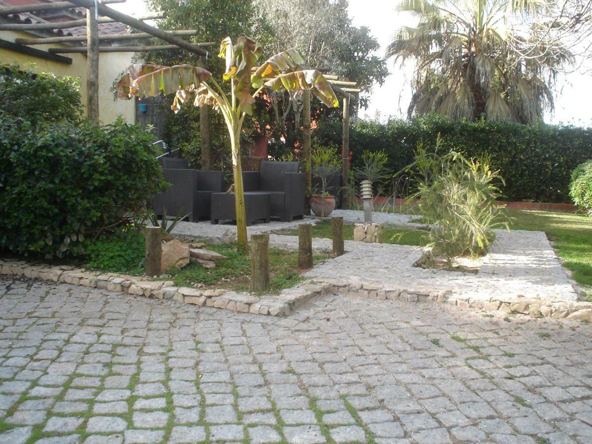 Quinta Da Sao Joao - Villa Oliveira Olhão Dış mekan fotoğraf