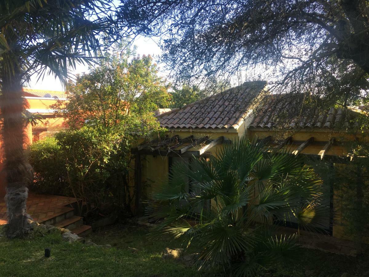 Quinta Da Sao Joao - Villa Oliveira Olhão Dış mekan fotoğraf