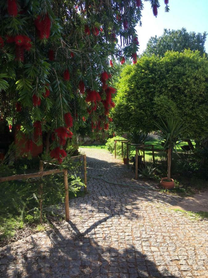 Quinta Da Sao Joao - Villa Oliveira Olhão Dış mekan fotoğraf